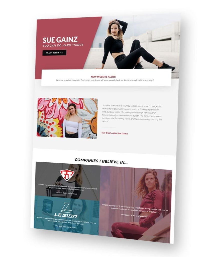 Sue Gainz website mock