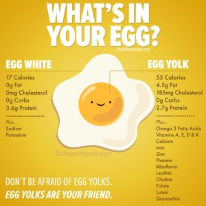 Benefits of Egg Yolks