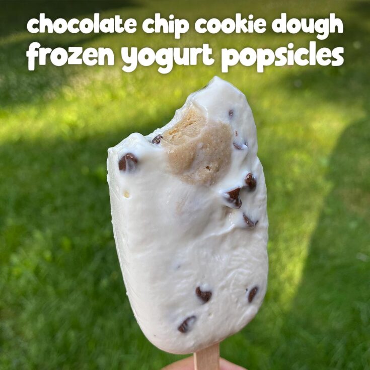 Healthy Froyo Popsicles