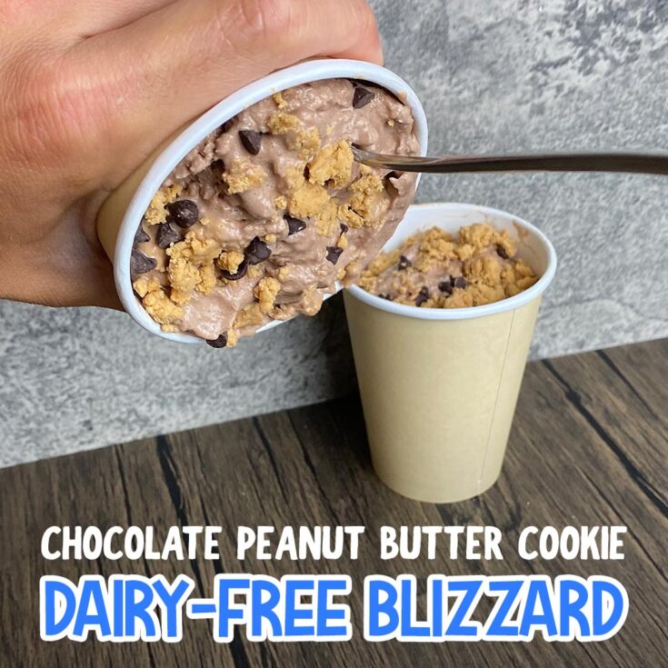 Chocolate Peanut Butter Blizzard