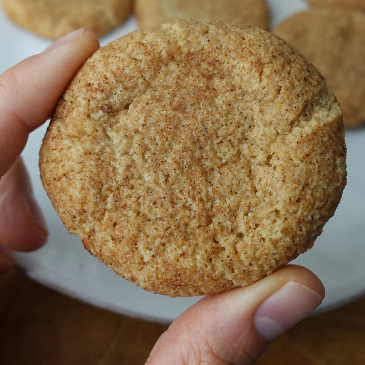 Protein snickerdoodle cookies