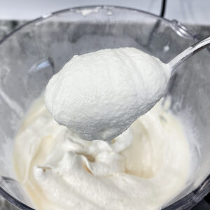Protein soft serve
