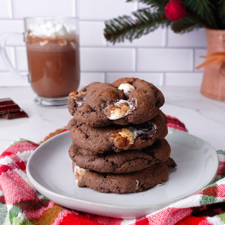 Hot Chocolate Cookies with 10g Protein
